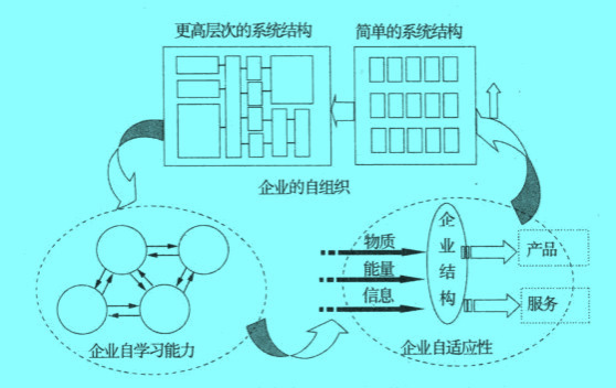 Image:企业的自学习、自适应、目组织关系.jpg