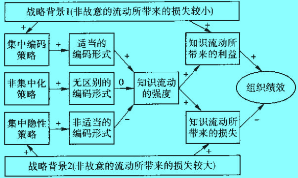 编码策略与组织绩效关系图