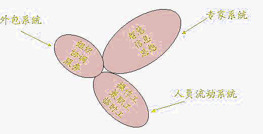 三叶草组织