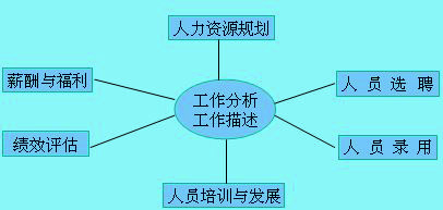 工作分析在人力资源管理中的位置