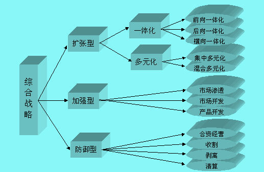 综合战略理论