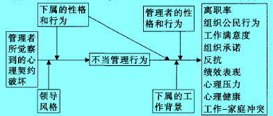 不当管理前因后因变量模型