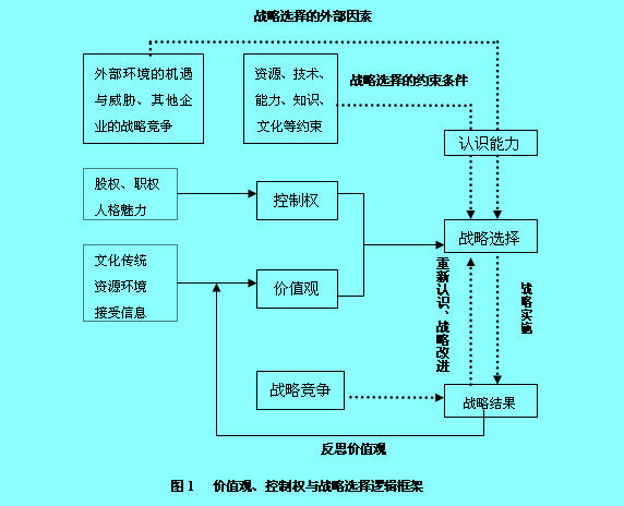 战略选择