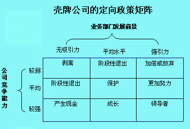 定向政策矩阵