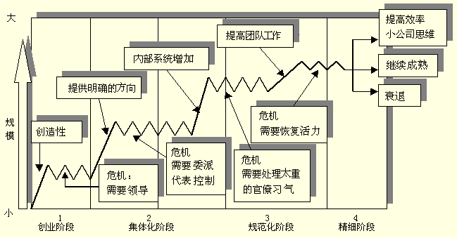 组织生命周期