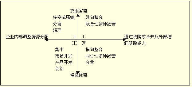 战略选择矩阵