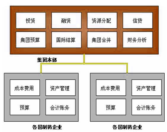 集团财务的集权管理模式构建.JPG