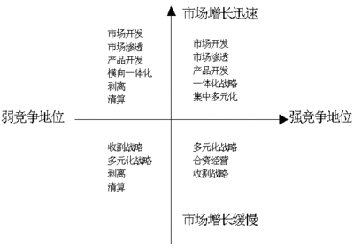 大战略矩阵图示