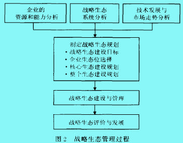 战略生态管理